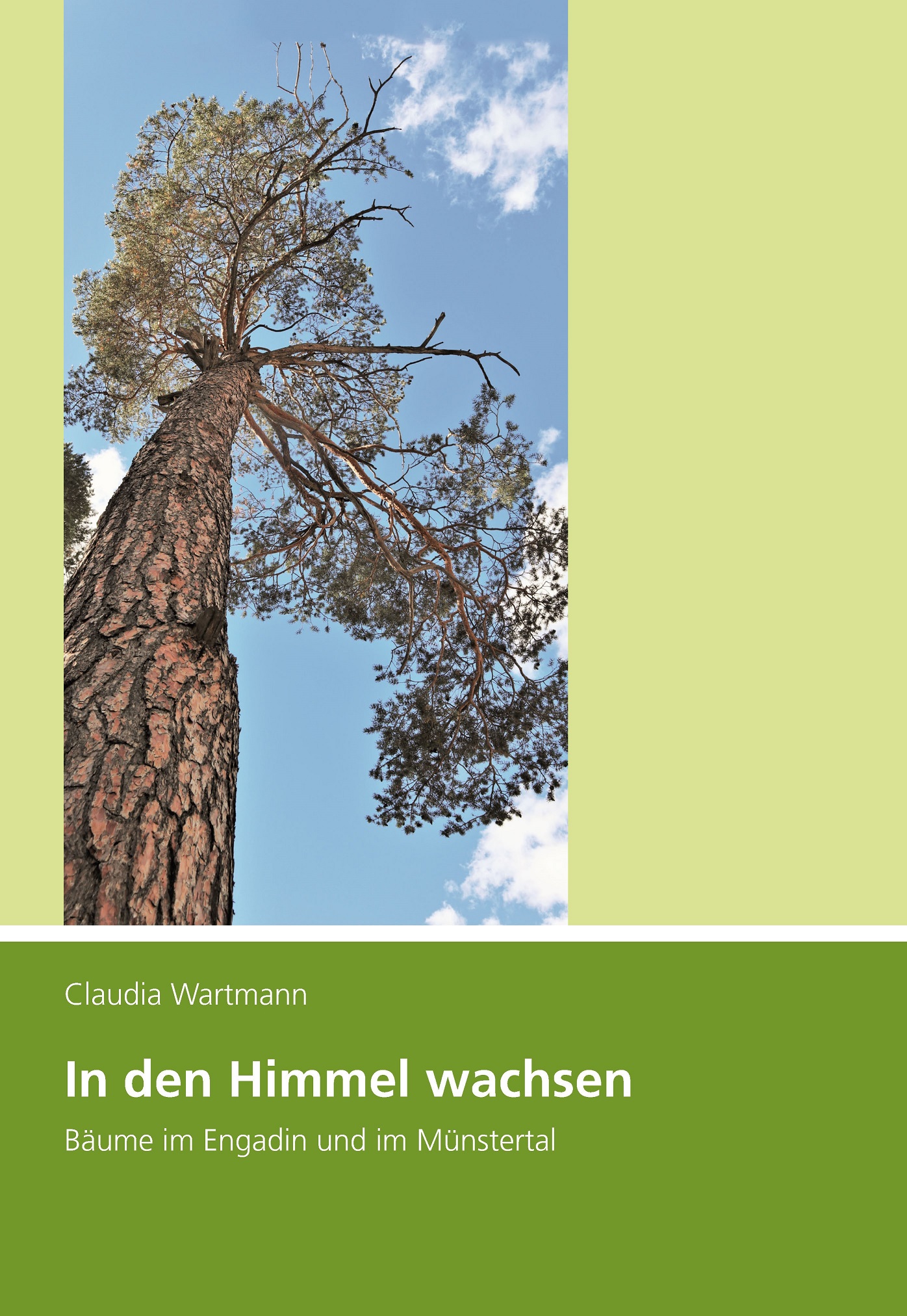 Cover: In den Himmel wachsen